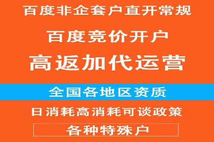 案例分析：高效信息流广告投放策略